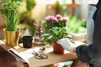 Urban Gardening 101: Top Tips for Beginners